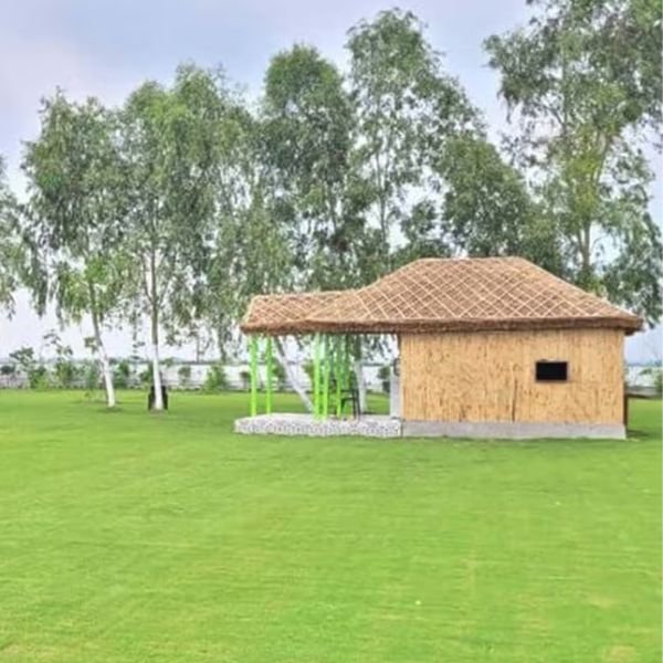 Novel Organic Farms